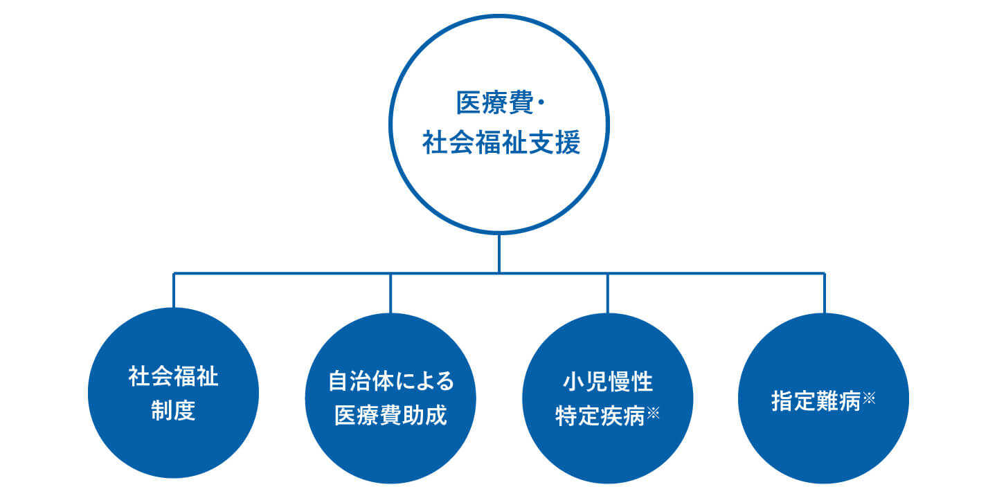 医療制度の活用について 医療費・社会福祉支援(社会福祉制度・自治体による医療費助成・小児慢性特定疾病※・指定難病※) 医療制度の活用について 医療費・社会福祉支援(社会福祉制度・自治体による医療費助成・小児慢性特定疾病※・指定難病※)