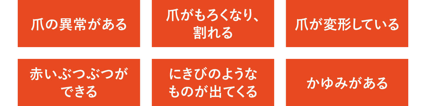 爪の異常がある、爪がもろくなり、割れる、爪が変形している、赤いぶつぶつができる、にきびのようなものが出てくる、かゆみがある 爪の異常がある、爪がもろくなり、割れる、爪が変形している、赤いぶつぶつができる、にきびのようなものが出てくる、かゆみがある