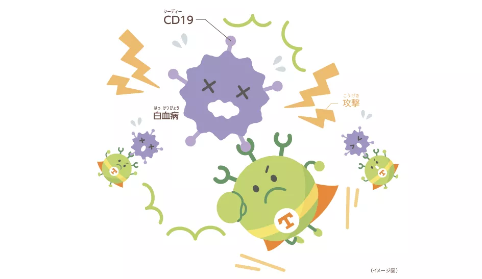 CD19を目印に白血病を捕まえたCAR-T細胞が強い攻撃力でやっつける