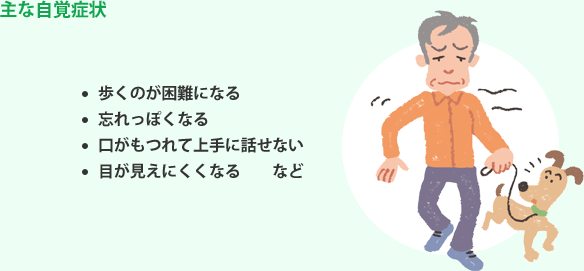 主な自覚症状 歩くのが困難になる 忘れっぽくなる 口がもつれて上手に話せない 目が見えにくくなる など
