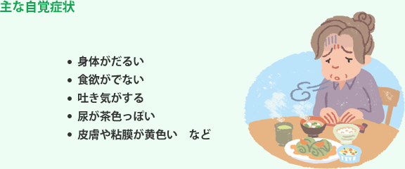 主な自覚症状 身体がだるい 食欲がでない 吐き気がする 尿が茶色っぽい 皮膚や粘膜が黄色い など