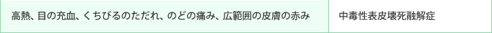 高熱、目の充血、くちびるのただれ、のどの痛み、広範囲の皮膚の赤み 中毒性表皮壊死融解症