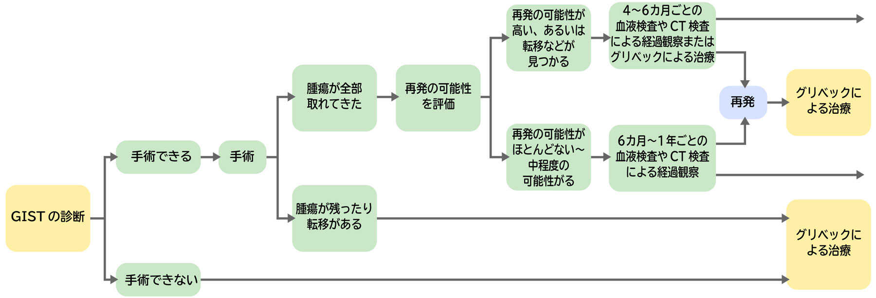 GIST(消化管間質腫瘍)の治療