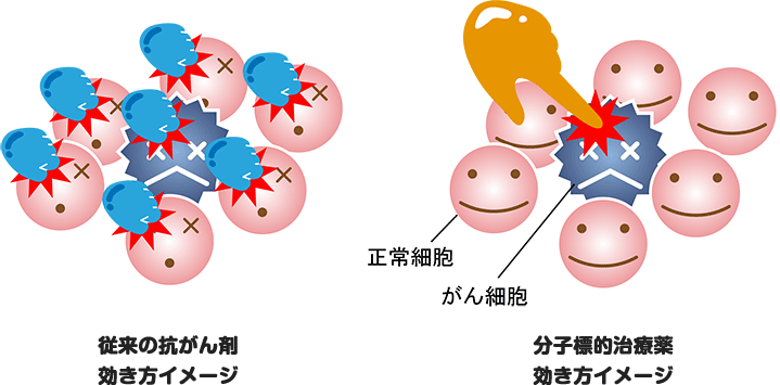 従来の抗がん剤の効き方イメージ・分子標的治療薬の効き方イメージ