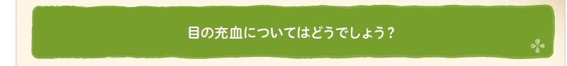 目の充血についてはどうでしょう？