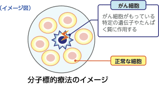 分子標的療法のイメージ