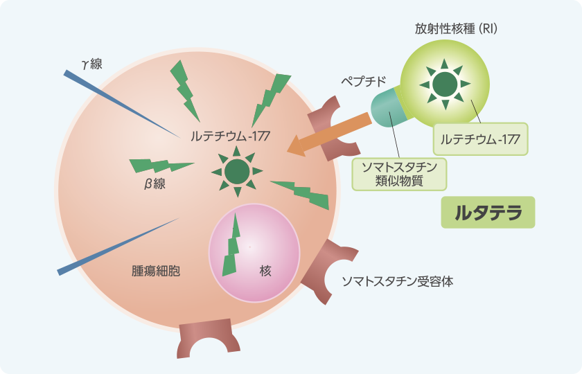 イラスト