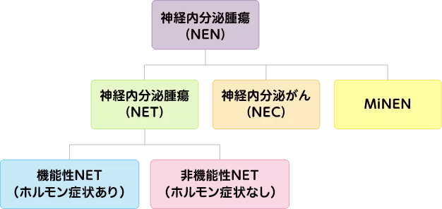 図1 膵・消化管神経内分泌腫瘍の分類