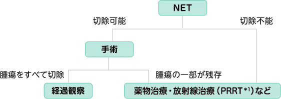 図1 膵・消化器官NENの治療選択