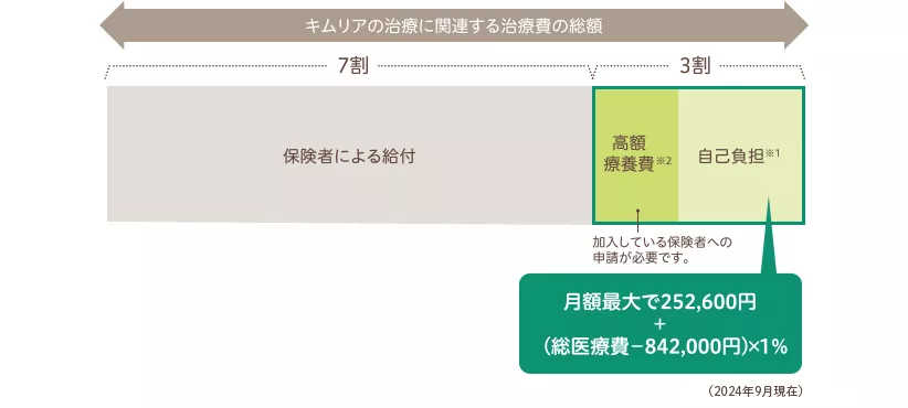 キムリアの治療費について・18歳以上の場合