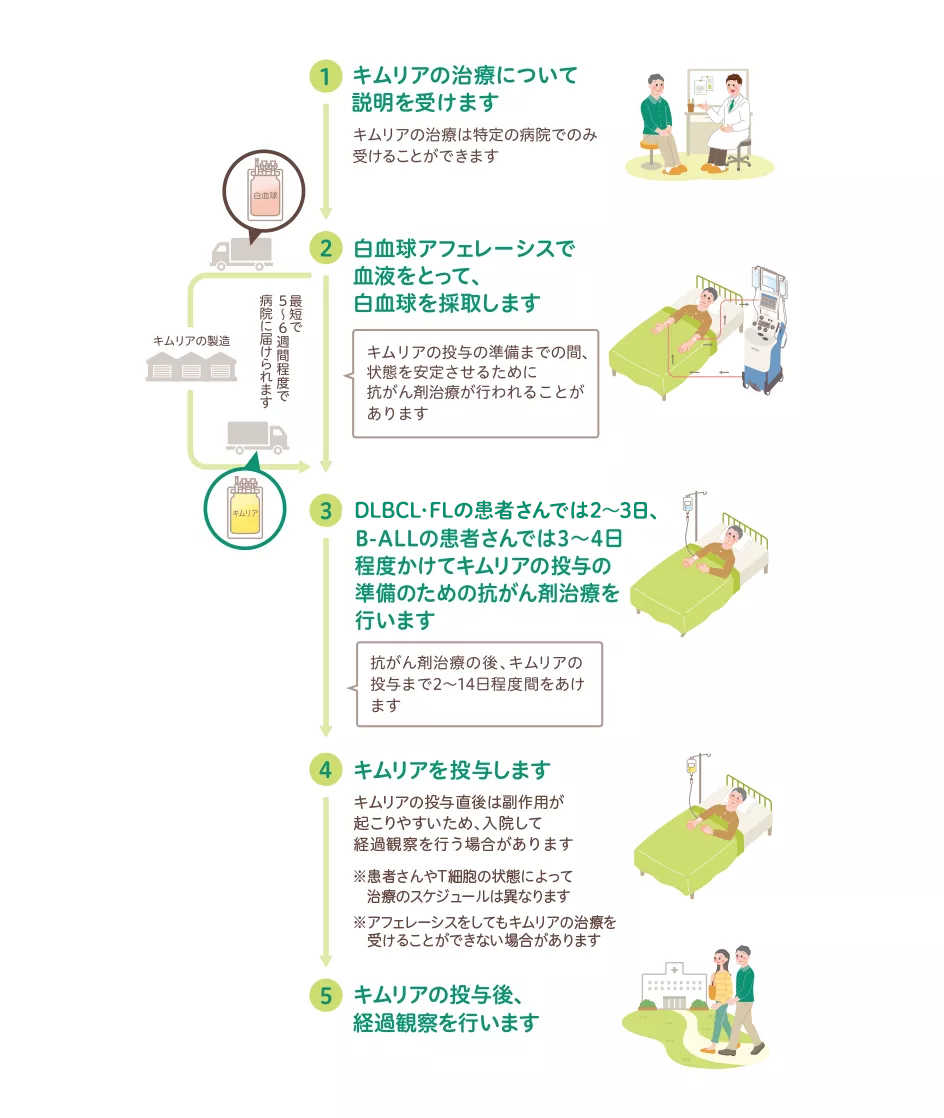 治療についての説明から、白血球採取、抗がん剤治療、キムリア投与、経過観察までの流れ