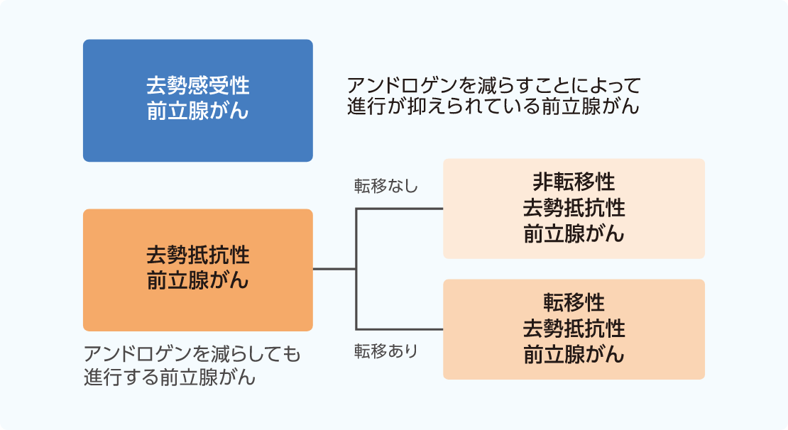 図：ホルモン療法が効きやすい去勢感受性前立腺がんとホルモン療法が効きにくい去勢抵抗性前立腺がん