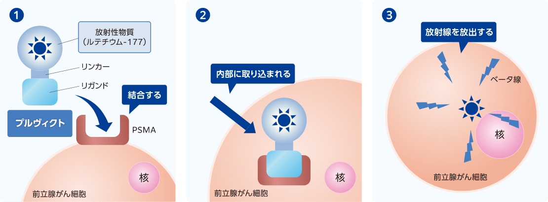 イメージ図：プルヴィクトによる放射性リガンド療法（RLT）