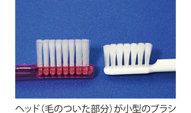 ヘッド（毛の付いた部分）が小型のブラシ